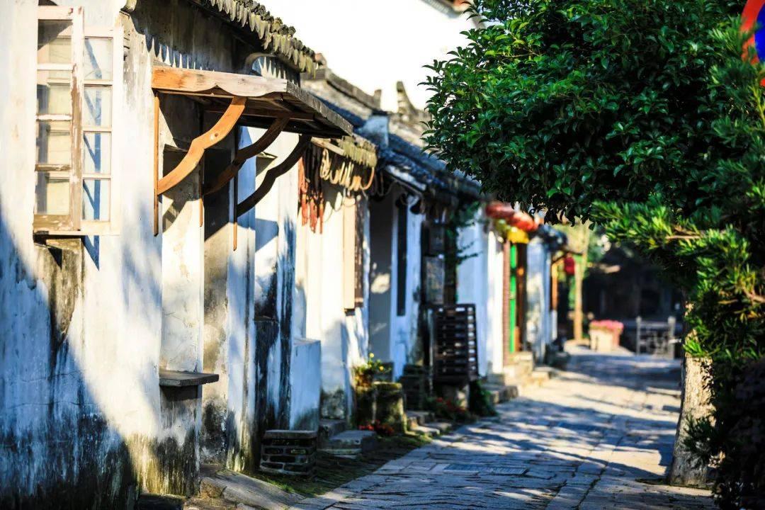 中小学生原则上不得将手机带入校园，你同意这项规定吗？游戏画面